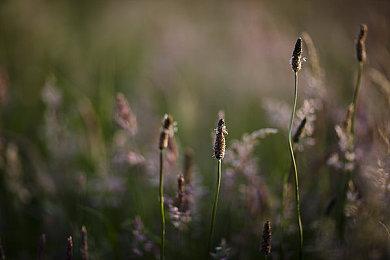 Xbox Series X＆S美国地区再次涨价 10月初生效